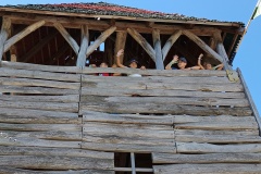 IMG_20260813_124916