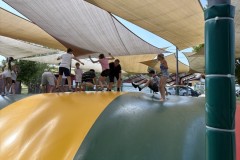 IMG_3022